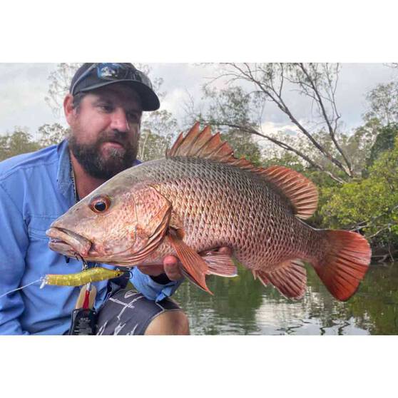 MMD Splash Prawn Surface Lure 120mm Cooked King, Cooked King, bcf_hi-res