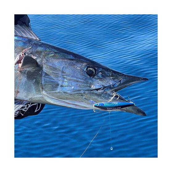 Ocean's Legacy Tidalus Minnow High Speed Hard Body Lure 108mm Blue Pink Silver, Blue Pink Silver, bcf_hi-res