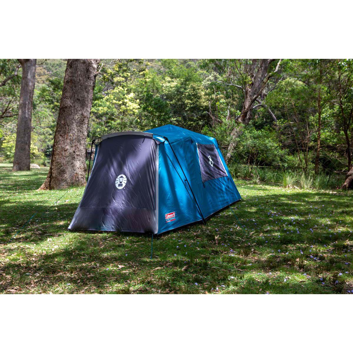 Coleman excursion instant online up tent 6 person