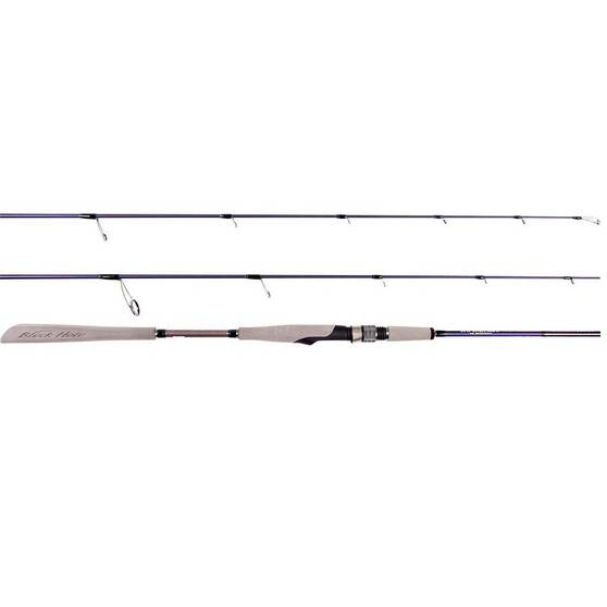 NS Black Hole Explorer Spinning Rod, , bcf_hi-res