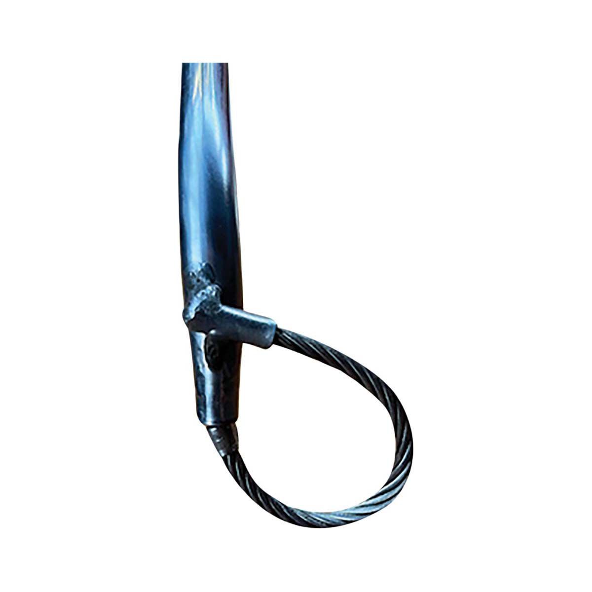 Odysseus Cray Loop, , bcf_hi-res