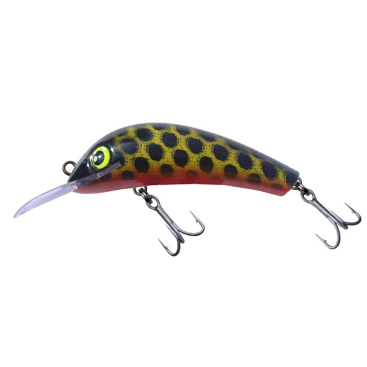 Carp lures deals