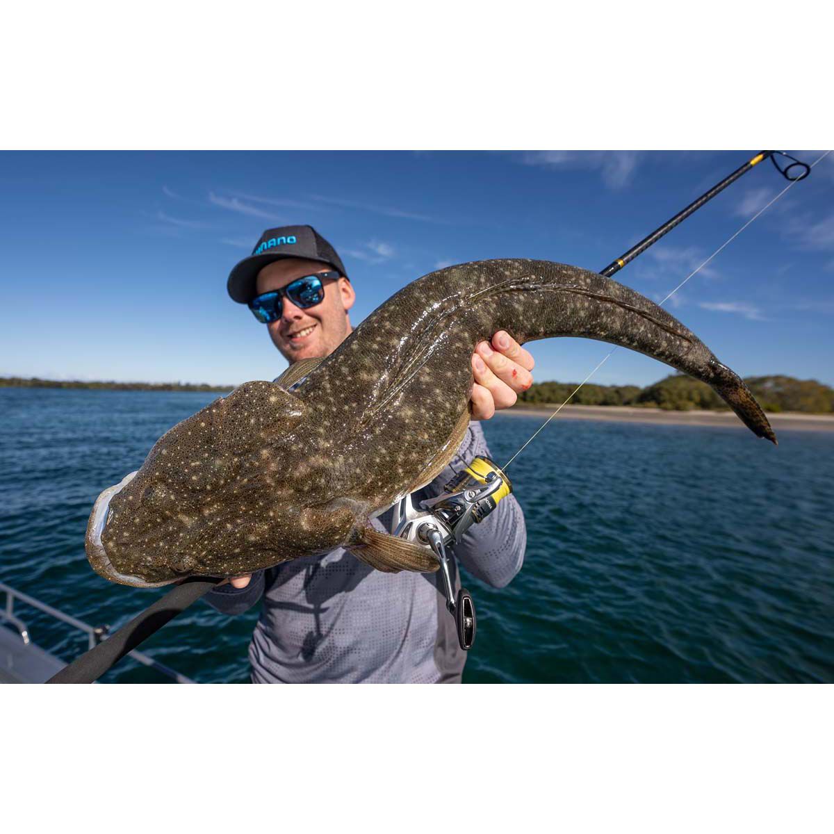 Shimano Sedona FJ Spinning Reel 2500, , bcf_hi-res