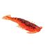 Calico Candy