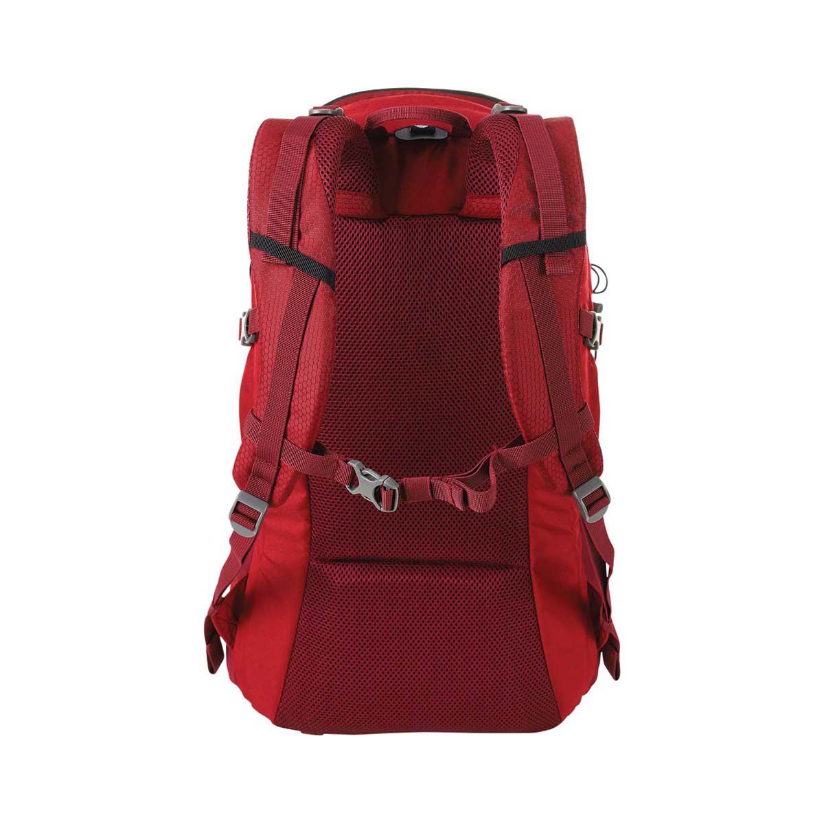 Bcf backpacks top