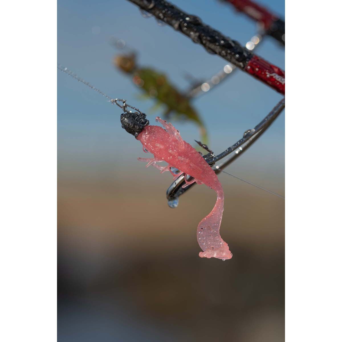 Nomad Live Ops Radiax Soft Plastic Lure 2.25in Pink Floss, Pink Floss, bcf_hi-res