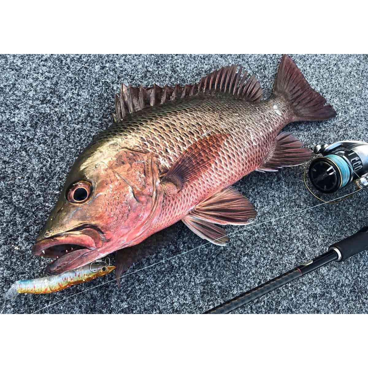 MMD Splash Prawn Surface Lure 120mm Lime Tiger, Lime Tiger, bcf_hi-res