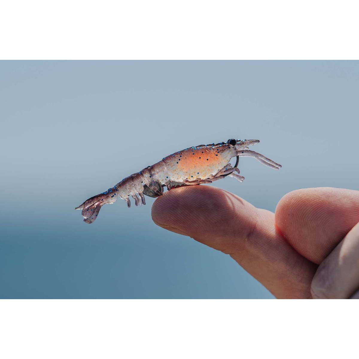 Nomad Live Ops Switcher Shrimp Soft Plastic Lure 2.3in Astro, Astro, bcf_hi-res