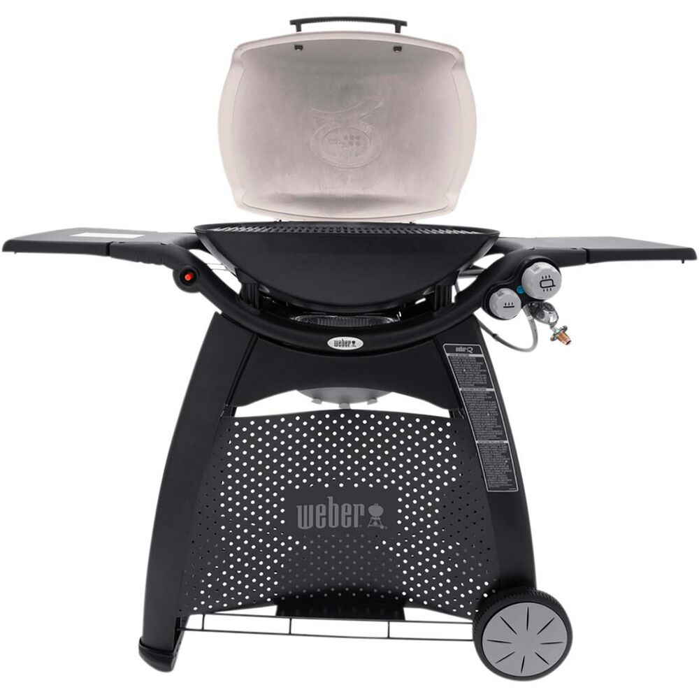 er Family Q (Q3100) LP BBQ BCF