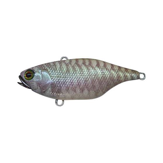 Jackall TN60 Vibe Lure 60mm SK Pearl King, SK Pearl King, bcf_hi-res