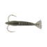 Blue Shiner Gold