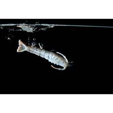 Berkley Gulp! Shrimp Soft Plastic Lure 2in Camo, Camo, bcf_hi-res