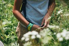 Para'kito Mosquito Kids Wristband Crocodile, Crocodile, bcf_hi-res