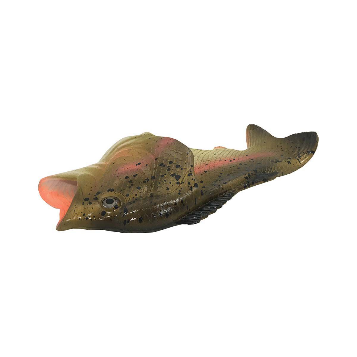 Trout Fish Feet BCF
