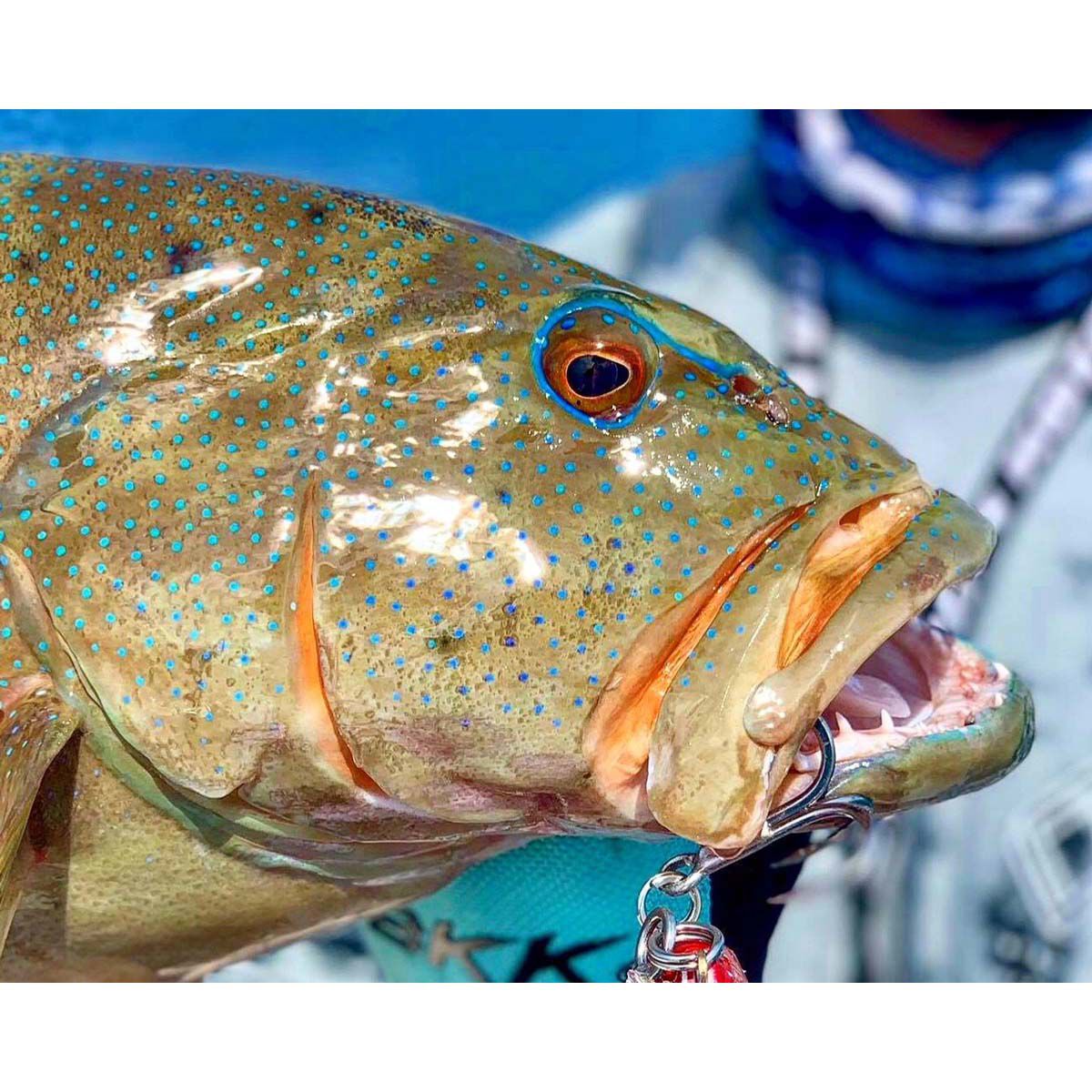 BKK Treble Raptor Z 6071-4X Hook, , bcf_hi-res