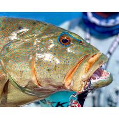 BKK Treble Raptor Z 6071-4X Hook, , bcf_hi-res