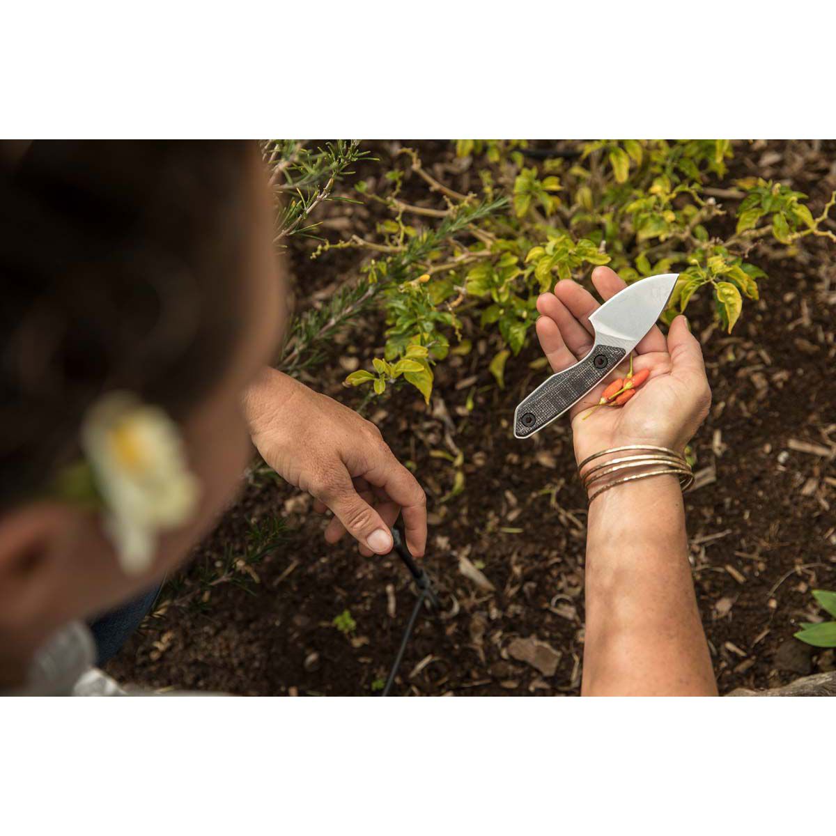 Gerber Stowe Micarta Fixed Blade Knife BCF