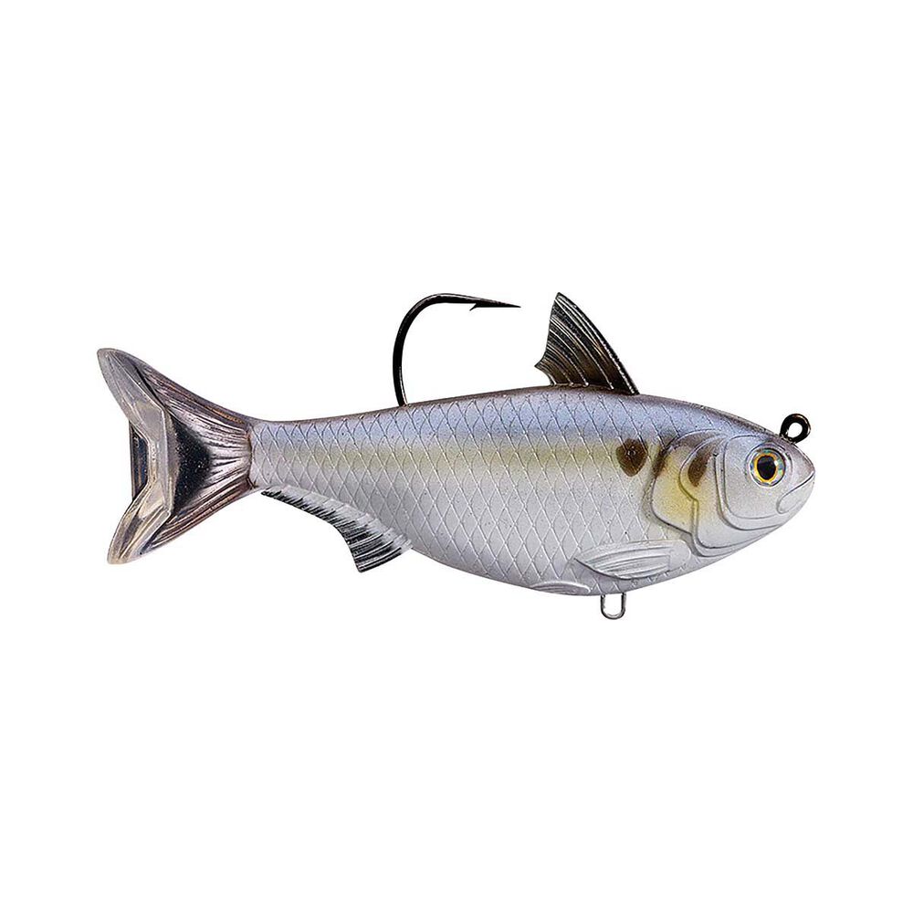 Esca Artificiale MattShad 2.5" American Shad, Swimbait Opaco Per Pesca A Spinning - Nuova - Foto 2