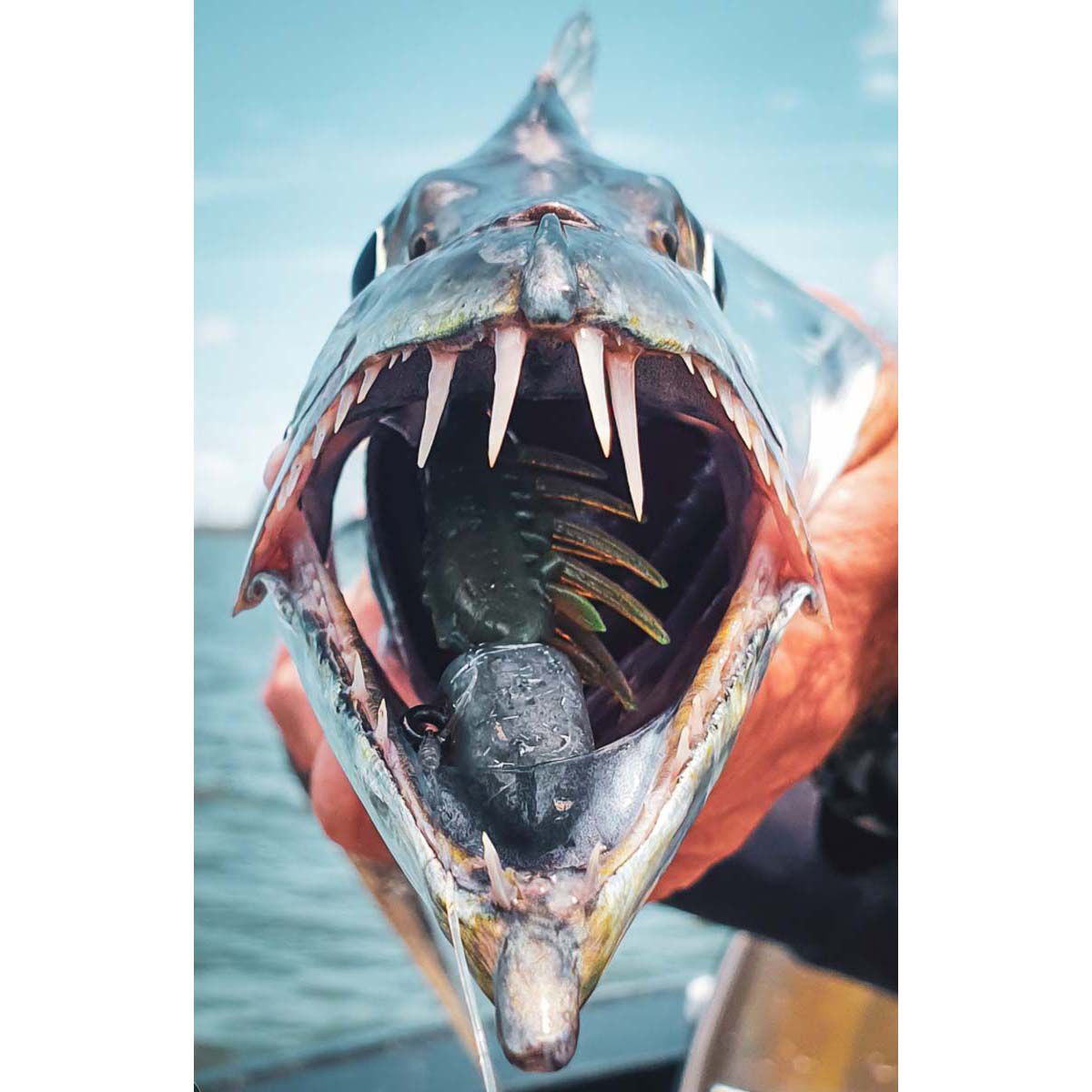 Rapala CrushCity Imposter Soft Plastic Lure 3in Chartreuse Yabbie, Chartreuse Yabbie, bcf_hi-res