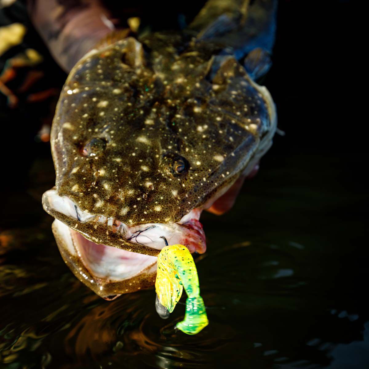 Rapala CrushCity Imposter Soft Plastic Lure 3in Neon Yabbie, Neon Yabbie, bcf_hi-res