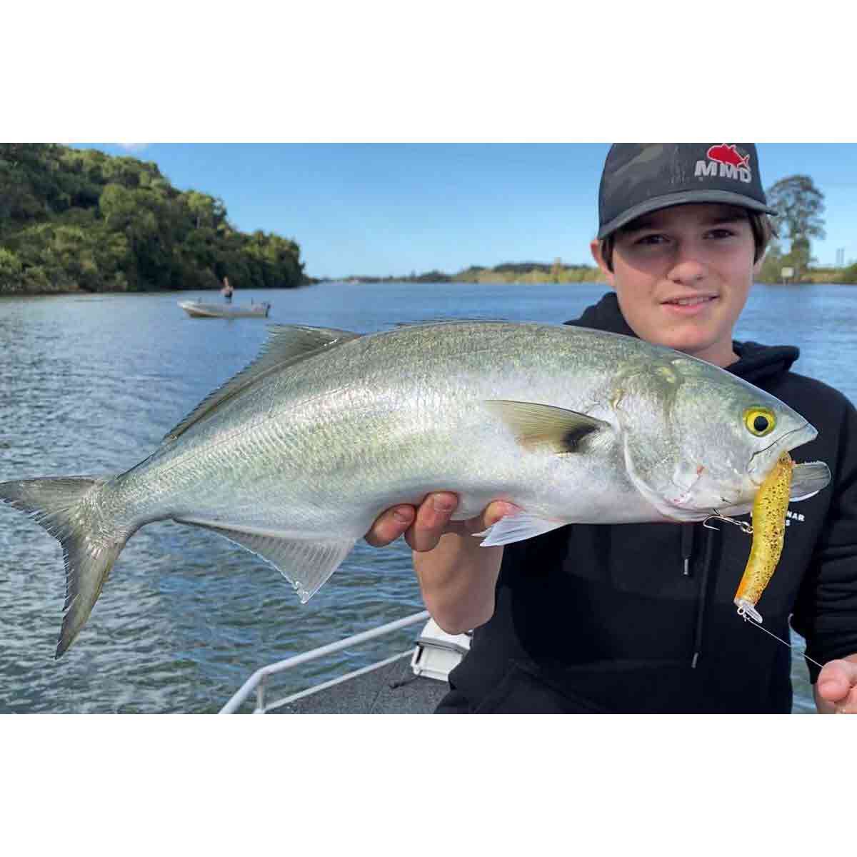 MMD Splash Prawn Surface Lure 70mm Lime Tiger, Lime Tiger, bcf_hi-res