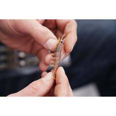 Pro Lure Clone Prawn Soft Plastic Lure 92mm Bloodworm, Bloodworm, bcf_hi-res