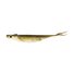 Tennessee Shad
