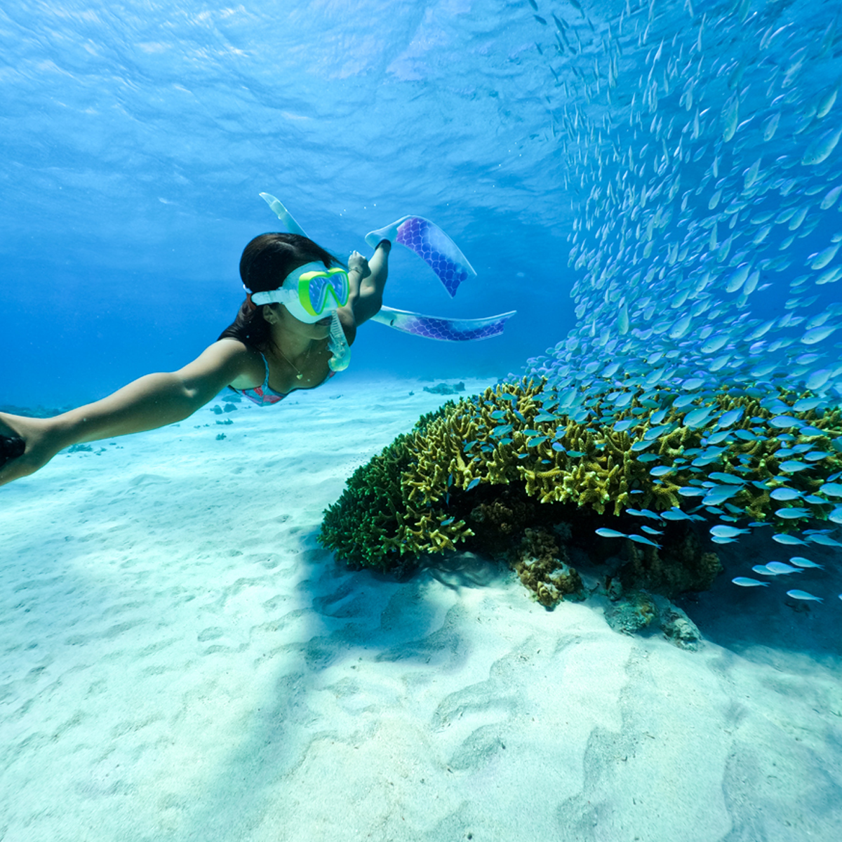 GoPro Protective Housing (Hero 9/10), , bcf_hi-res