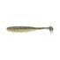 Gold Flash Minnow