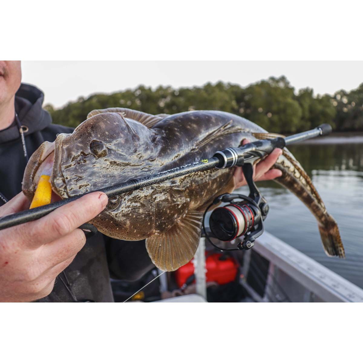 TT Fishing Black Mamba Spinning Rod, , bcf_hi-res