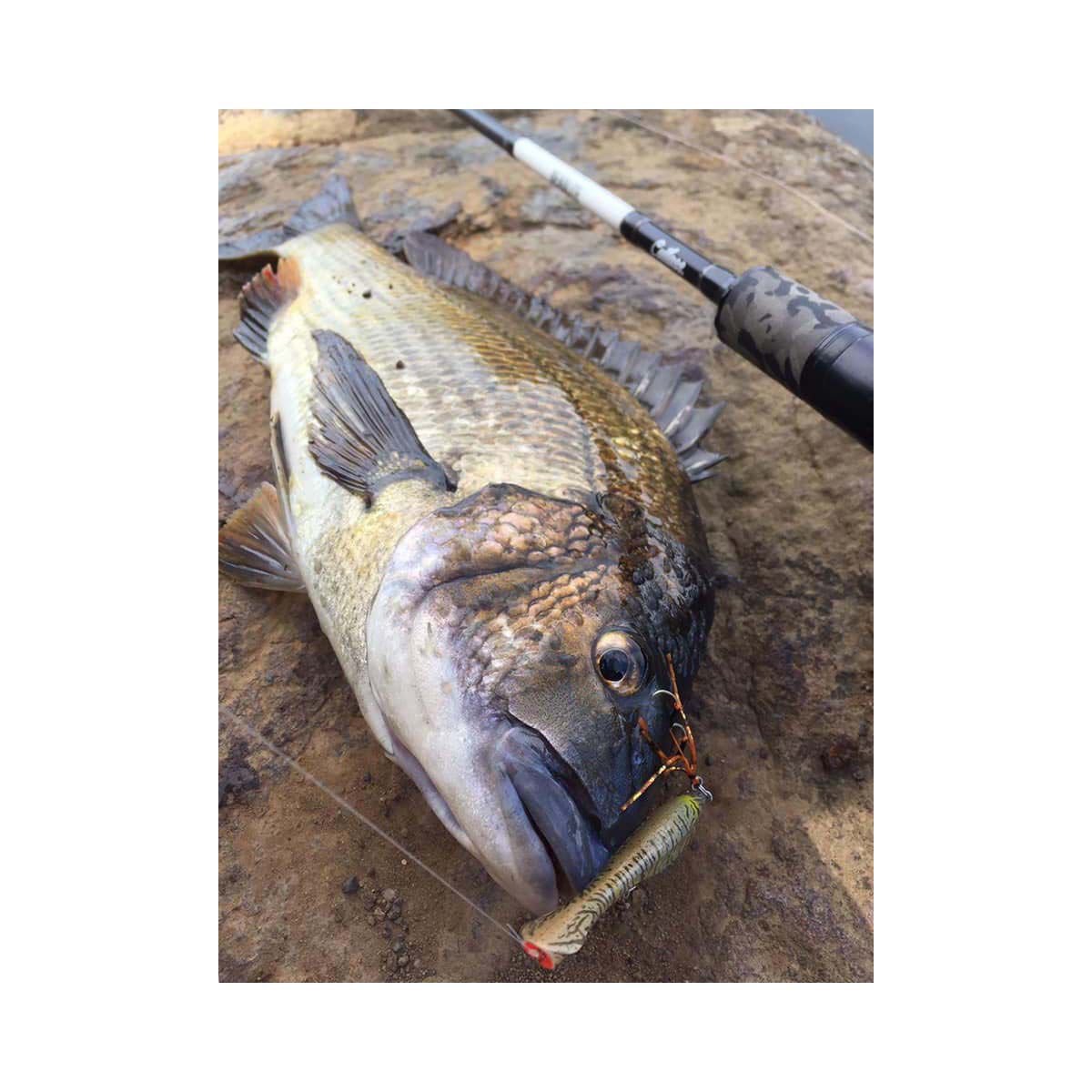 BKK Striker Assist Hook, , bcf_hi-res