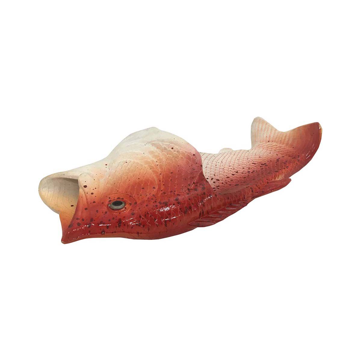 Snapper Fish Feet