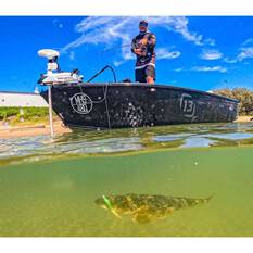 Rapala CrushCity Jerk Soft Plastic Lure 3.75in Pearl Watermelon, Pearl Watermelon, bcf_hi-res