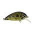 Ghost Green Shad