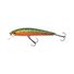 Brook Trout