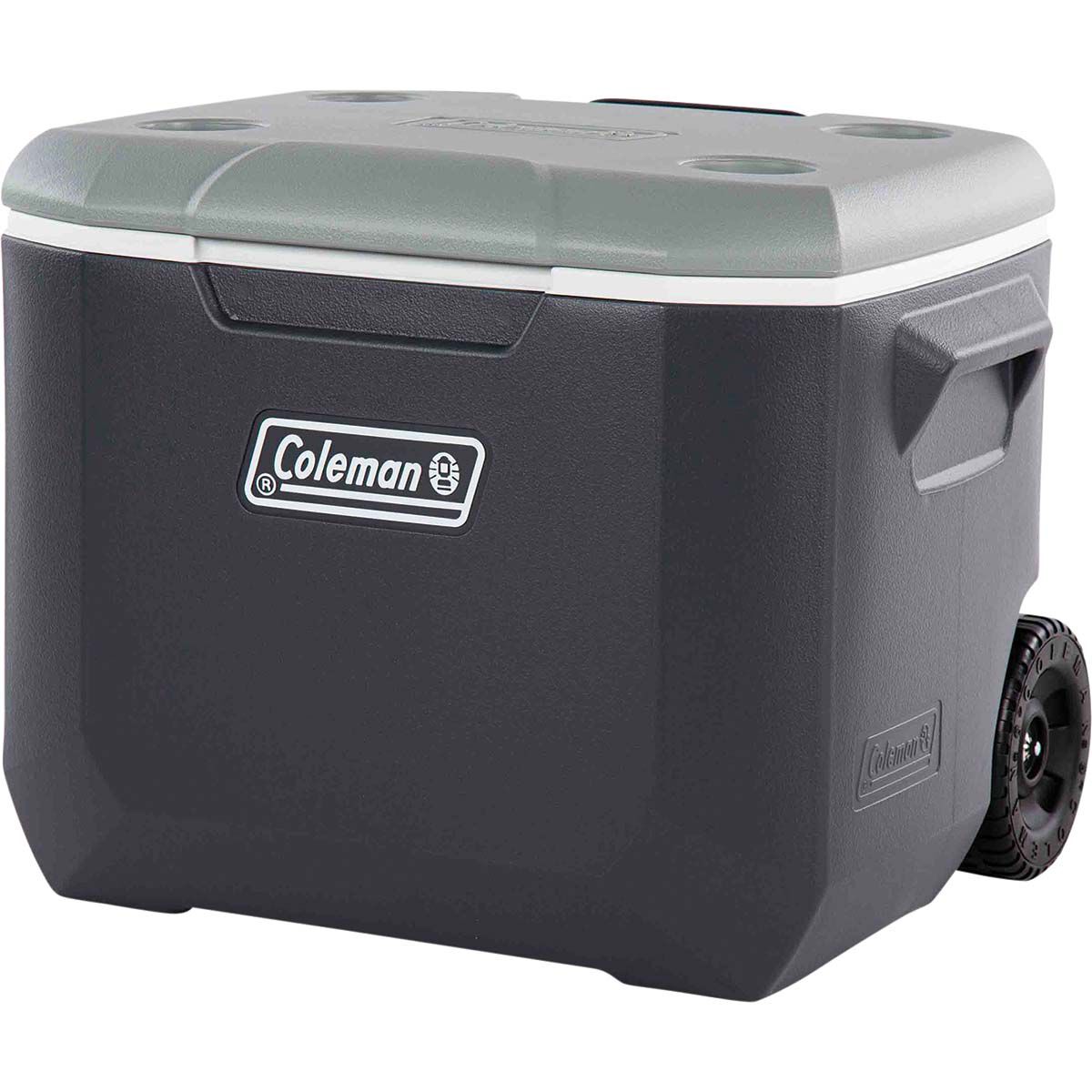 Coleman vertical cooler best sale 57l