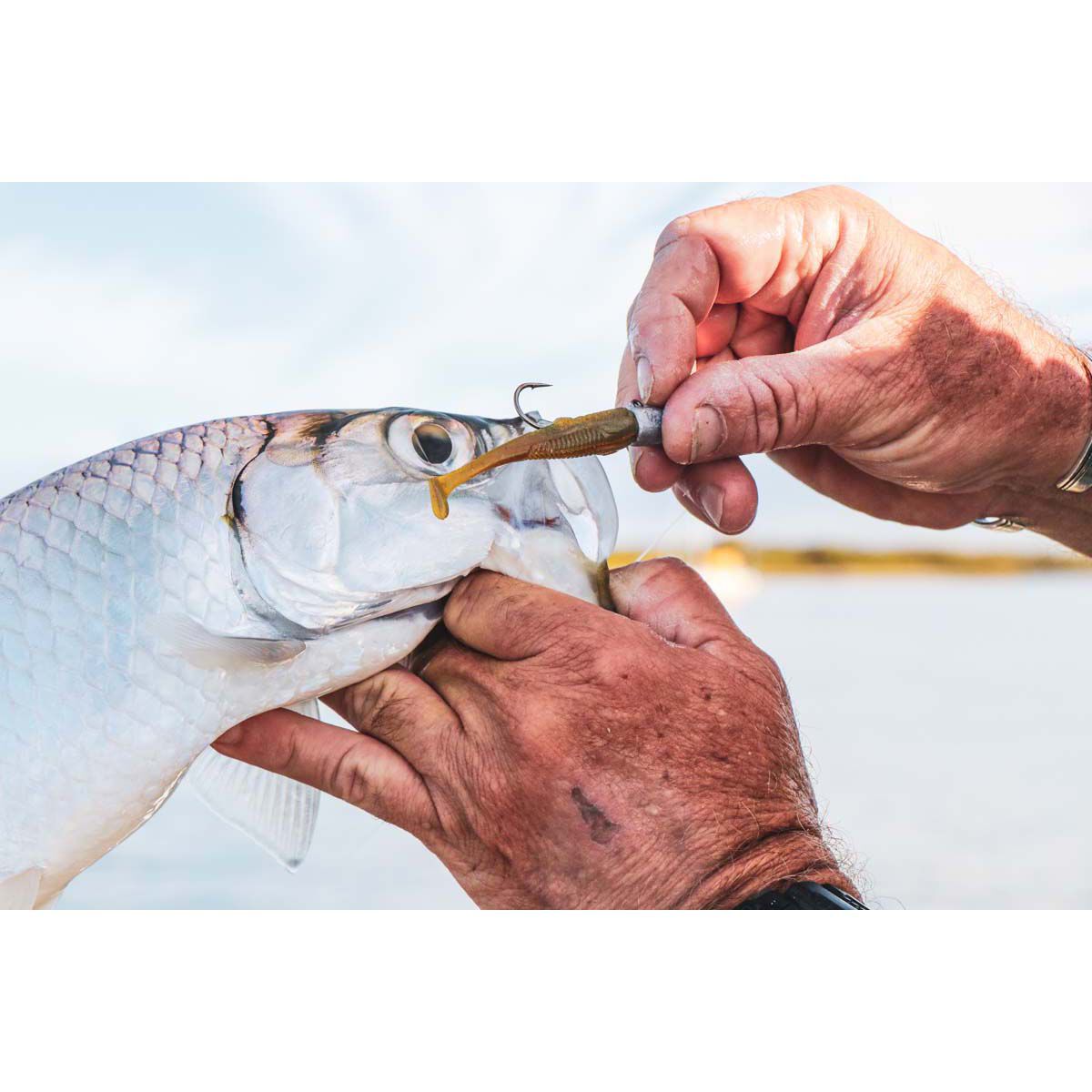 Rapala CrushCity Suspect Soft Plastic Lure 2.75in Pearl Watermelon, Pearl Watermelon, bcf_hi-res