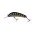 Tiger Snake