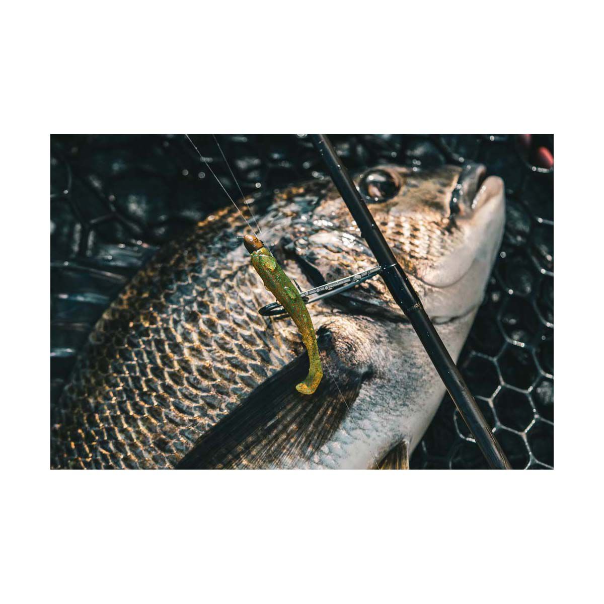 TT Fishing HeadlockZ Finesse UV Jigheads Bloodworm, , bcf_hi-res