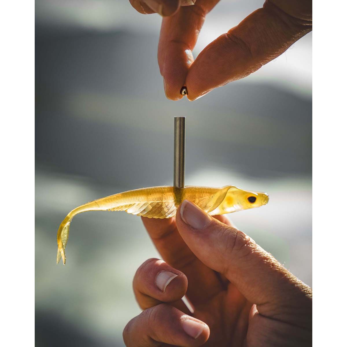 Nomad Live Ops Cobra Shad Soft Plastic Lure 3.75in Tennessee Shad, Tennessee Shad, bcf_hi-res