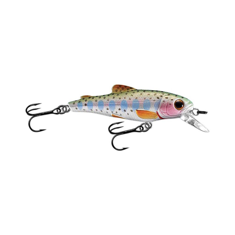 Livetarget Trout Jerkbait Hardbody Lure 2.75in Rainbow Trout BCF