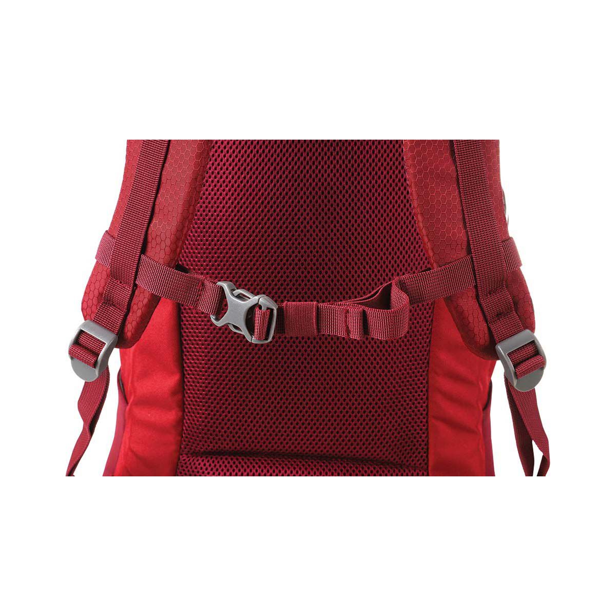 OUTRAK Chasm Backpack 35L Burgundy, Burgundy, bcf_hi-res