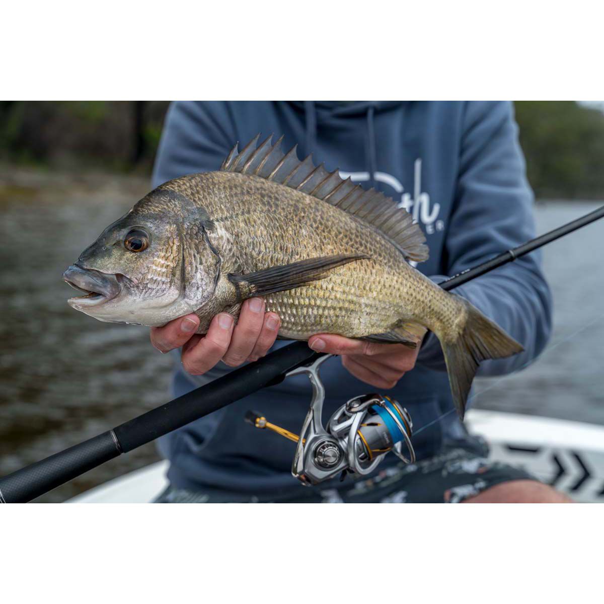 Daiwa 21 Freams LT Spinning Reel 3000, , bcf_hi-res