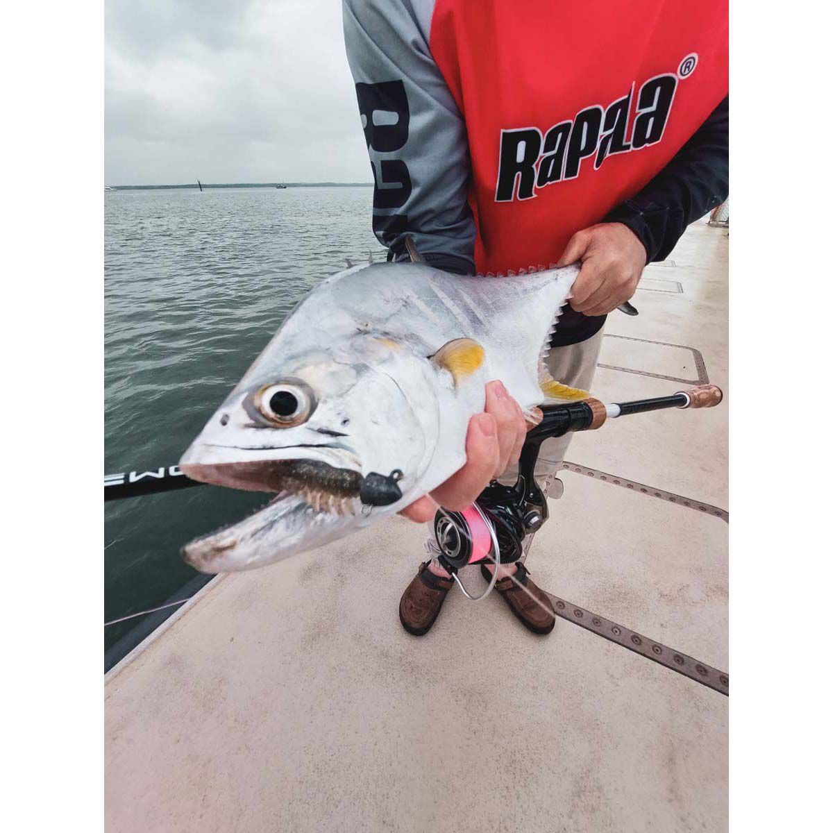 Rapala CrushCity Creeper Soft Plastic Lure 2.5in Yabbie, Yabbie, bcf_hi-res