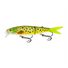 Spotted Trout
