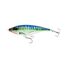 Spanish Mackerel