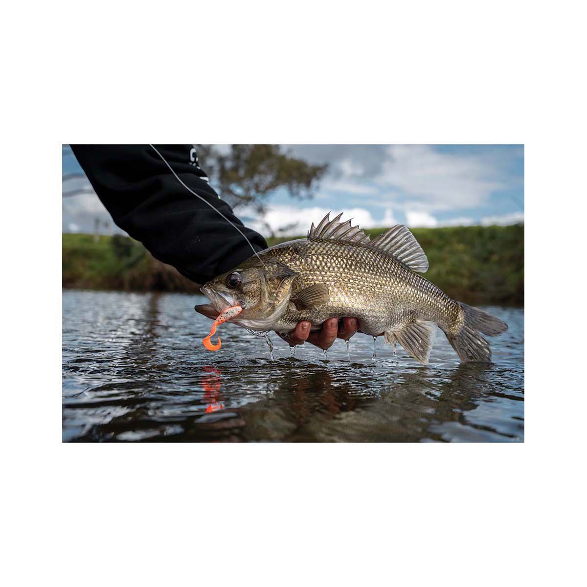 Berkley Gulp! Minnow Grub Soft Plastic Lure 3in Camo, Camo, bcf_hi-res