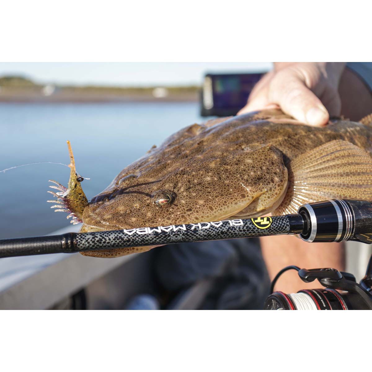 TT Fishing Black Mamba Spinning Rod, , bcf_hi-res