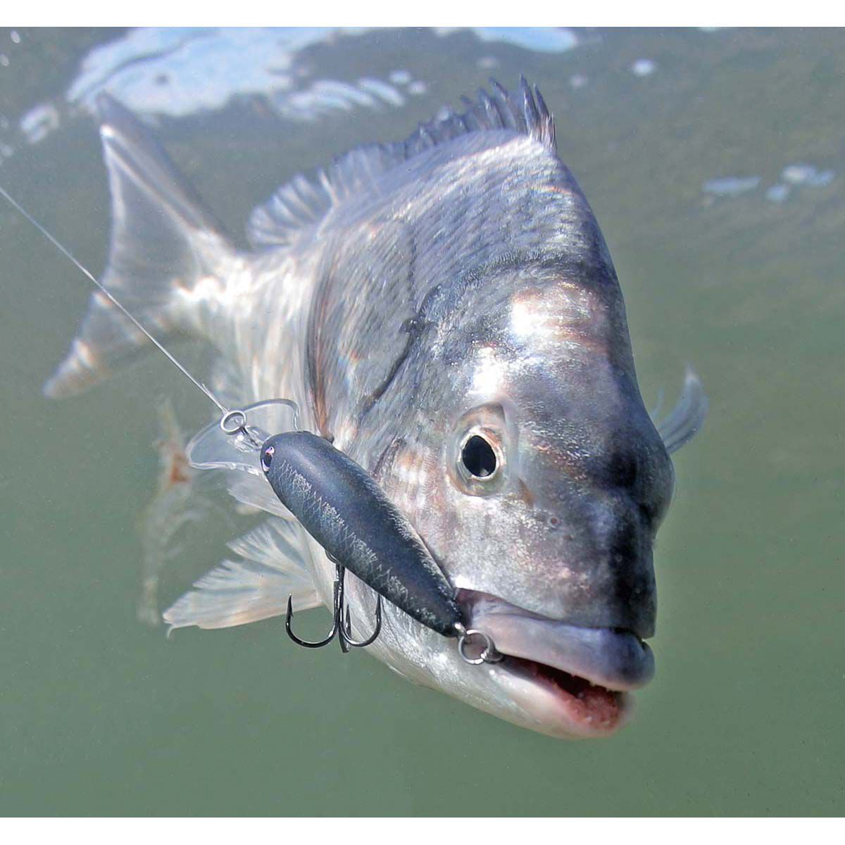 Halco TB55 Hard Body Lure 55mm Ghost Green, Ghost Green, bcf_hi-res