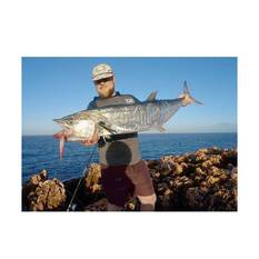 Ocean's Legacy Sling Shot Casting Lure 40g Sardine, Sardine, bcf_hi-res